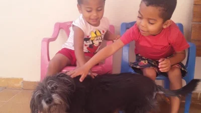 Meu animal, meu xodó