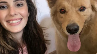 Meu animal, meu xodó