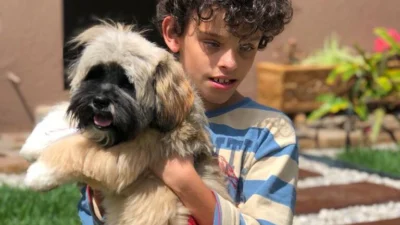 Meu animal, meu xodó