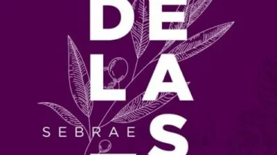 SEBRAE DELAS oferece programa para incentivar mulheres a empreender
