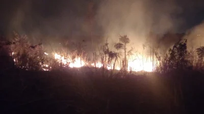 Fogo destroi área de cerca de 8 hectares em fazenda