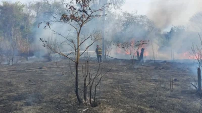 Incêndio no Matão destrói área de proteção ambiental