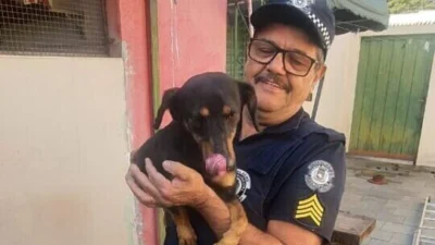 GM Nóbrega resgata cachorrinha enroscada em torre de antena de TV