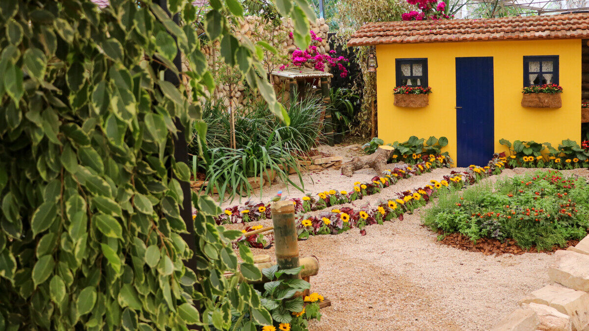 Muro em pedra rustica  Jardins rústicos, Decoração de jardim externo,  Escada para jardim