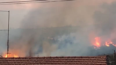 Fogo queima cerca de 12 hectares de mata ciliar e vegetação