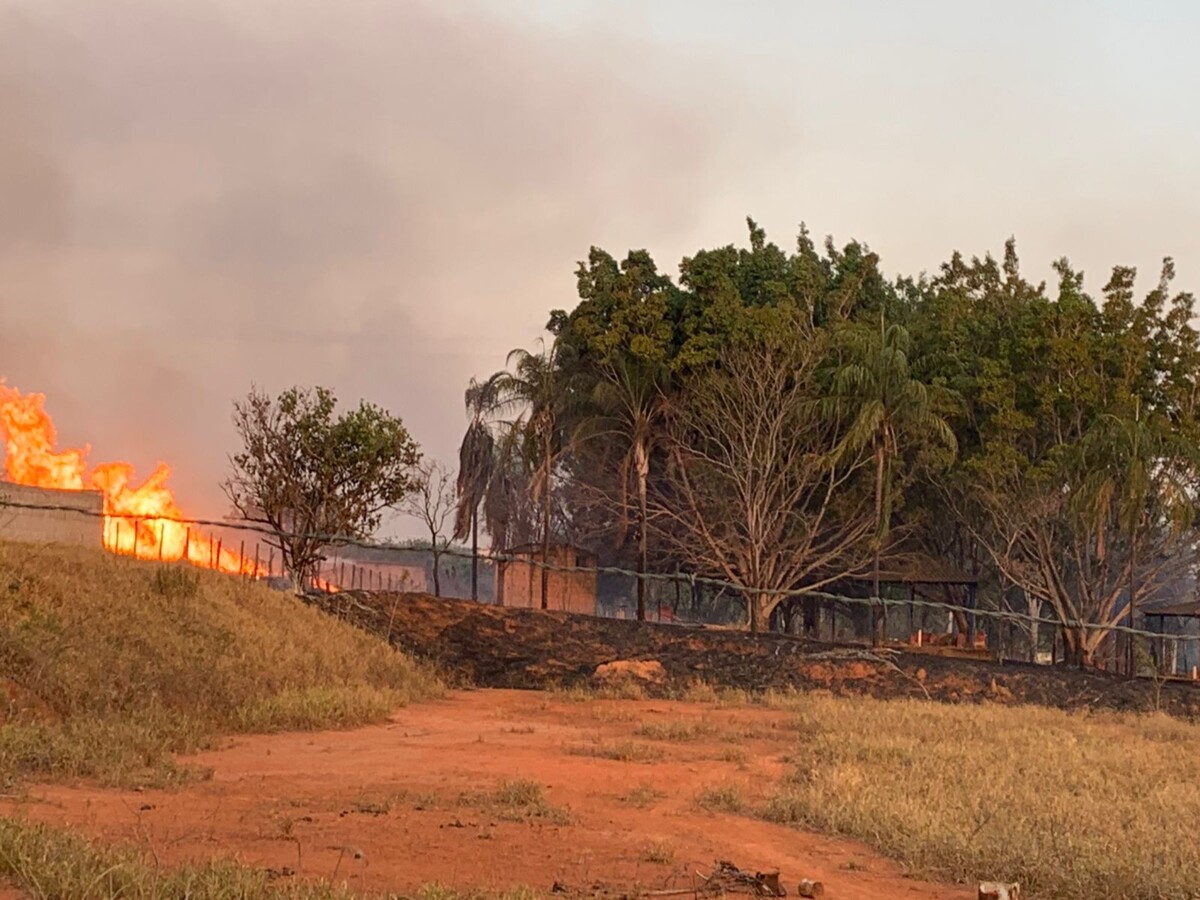 Incêndio de grande proporção em terreno quase atinge residência vizinha -  TV Jaguari