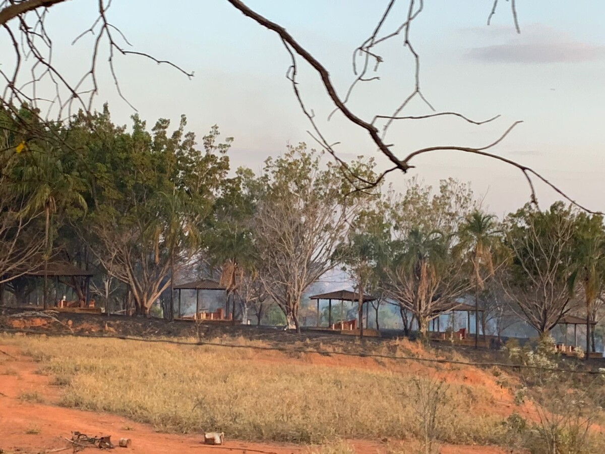 Incêndio de grande proporção em terreno quase atinge residência vizinha -  TV Jaguari