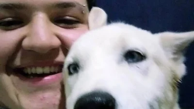 Meu animal, meu xodó