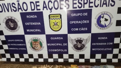 ROMU localiza 128 pinos de cocaína no Parque Ester