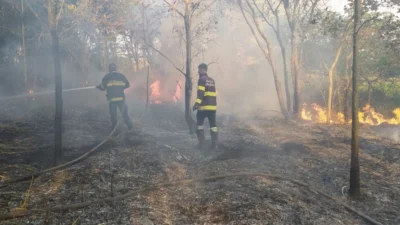 Defesa Civil se mobiliza de forma contínua para apagar incêndios criminosos