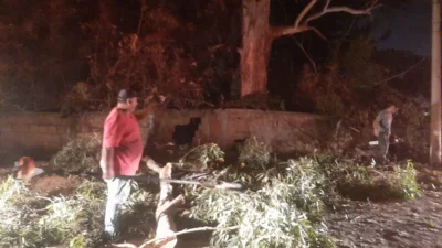 Vento derruba tronco de árvore no Beto Spana