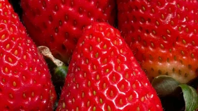 Nova lei entra em vigor para prazo de validade em vegetais frescos embalados