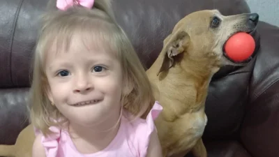 Meu animal, meu xodó