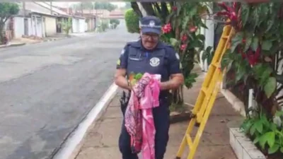GEPAR resgata maritaca ferida no Parque dos Trabalhadores