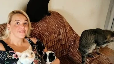 Meu animal, meu xodó