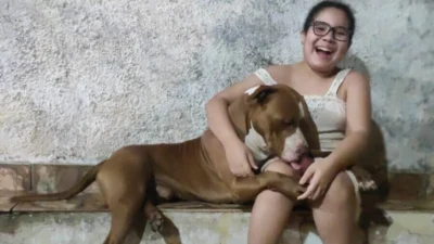 Meu animal, meu xodó