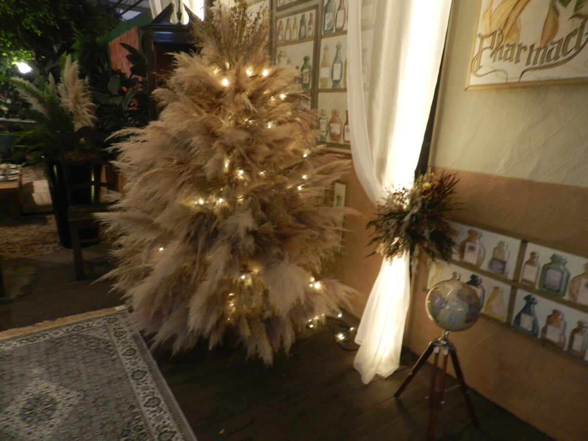 Turistas encontram muitas dicas para a decoração de árvores naturais no  Natal de Holambra - TV Jaguari
