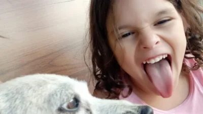 Meu animal, meu xodó