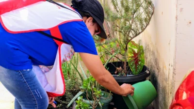 Combate ao Aedes: Prefeitura intensifica ações em cinco novos bairros de Cosmópolis
