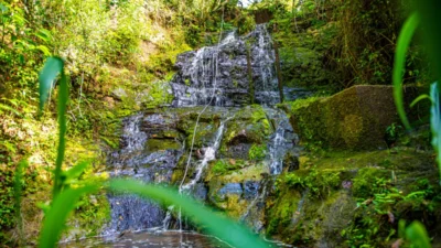 5ª Caminhada ECOTUR acontece neste domingo (19)