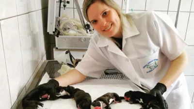 Médica Veterinária segue os passos do pai e comemora quinze anos de carreira