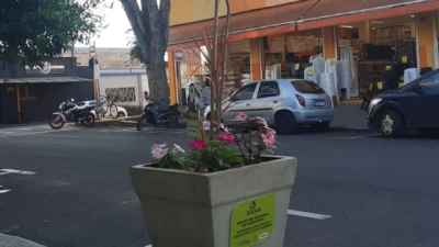 SAMA inicia plantios de árvores e rearborização da Avenida Ester