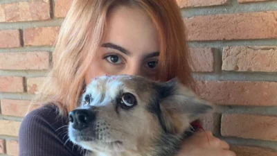Meu animal, meu xodó