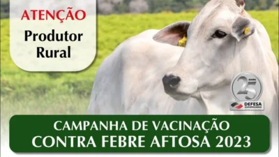 Campanha 2023 contra a febre aftosa tem início em maio