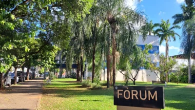 Profissionais explicam como funciona o processo de adoção de crianças e adolescentes