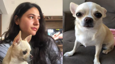 Meu animal, meu xodó