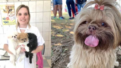 Como funciona o atendimento de um Veterinário Comportamentalista?