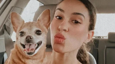 Meu animal, meu xodó