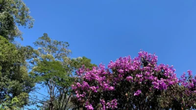 Umidade Relativa do Ar deve atingir níveis críticos no período da tarde desta terça-feira (27)