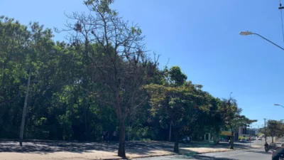 Defesa Civil de Cosmópolis faz alerta para Umidade Relativa do Ar em níveis mais críticos