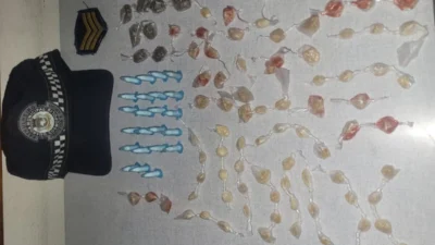 Guarda Municipal localiza mais de 100 porções de entorpecentes