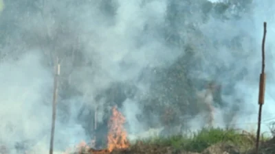 Defesa Civil combate fogo às margens da Rodovia SP 133