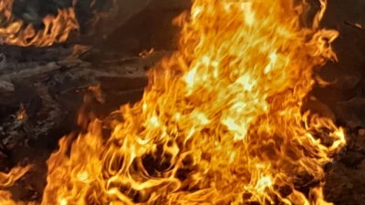 Defesa Civil combate incêndio em área de mata na Vicinal Cosmópolis-Holambra
