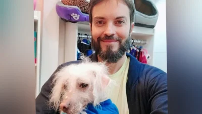 Meu animal, meu xodó