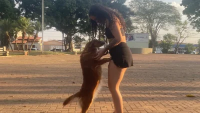 Meu animal, meu xodó
