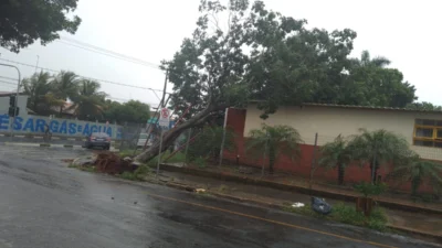 Chuva, granizo e vento forte fazem estragos em Cosmópolis