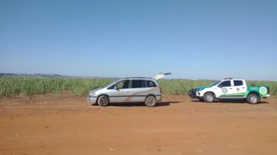 Corpo é encontrado em meio ao canavial próximo à ‘Ponte de Ferro’