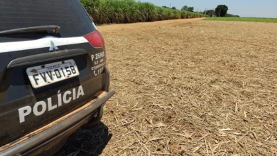Corpo encontrado no canavial era de morador de Paulínia
