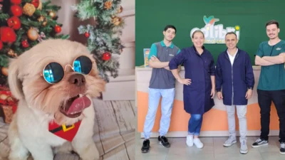 O Natal e Ano Novo dos pets…