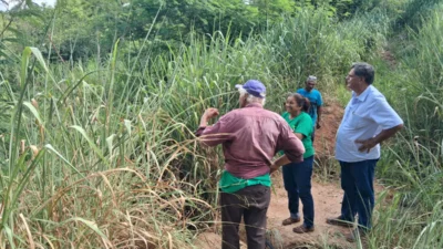 Equipe do De Olho nos Rios alinha ações para a recuperação da biodiversidade da zona rural de Cosmópolis
