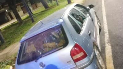 Homem é preso acusado de furtar jaca, manga e laranja de propriedade rural