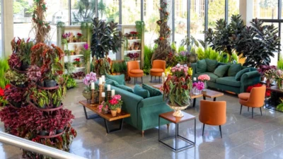 Veiling Market deve antecipar a compra de 60% da produção de flores para o Dia da Mães