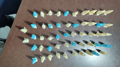 Guarda Municipal localiza 52 microtubos de cocaína