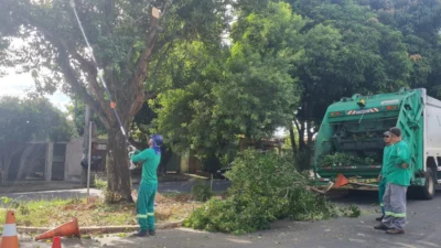 Prefeitura de Cosmópolis inicia podas preventivas na Avenida Nelson Alves Aranha