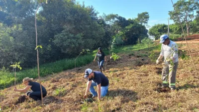 Prefeitura de Cosmópolis realiza plantio de 1.315 mudas às margens do Ribeirão Três Barras