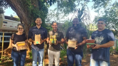 Projeto Meliponicultora tem como objetivo ampliar consciência sobre a criação de abelhas-sem-ferrão